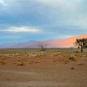 NAM HAR Dune45 2016NOV21 038 : 2016 - African Adventures, Hardap, Namibia, Southern, Africa, Dune 45, 2016, November
